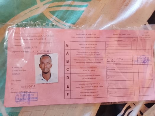 Diplômé avec permis B et C disponible pour emploi