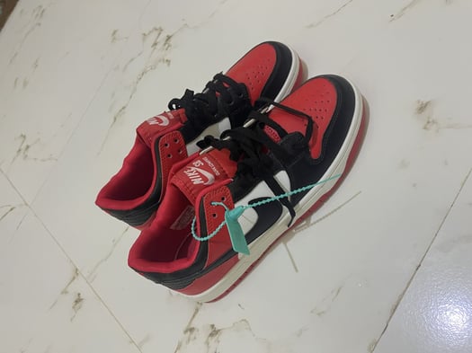 Chaussures Nike SB Dunk Low - Rouge, Noir et Blanc - État Neuf