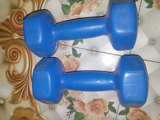 Deux alter 6kg à vendre