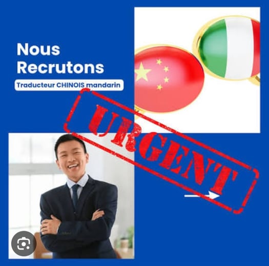 Traducteur(trice) chinois-français/anglais urgent et disponible