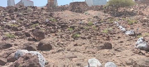 Terrain 200m² avec titre provisoire à Arta secteur Haji Dereh