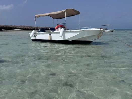Bateau 7m Yamaha V6 150 CV avec sondeur GPS