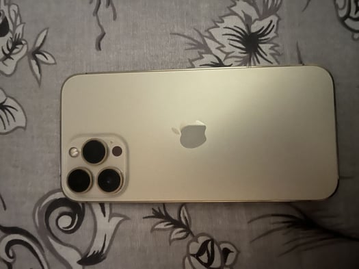 iPhone 13 Pro Max 128 Go batterie 75% en bon état