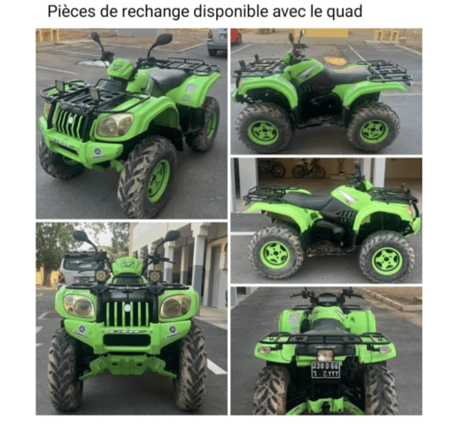 Quad Minico 550 Puma en bon état