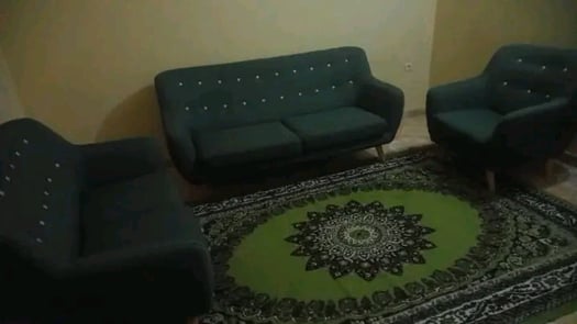 Salon en très bon état avec tapis inclus