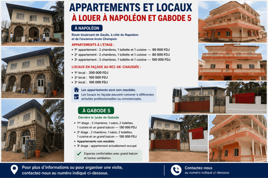 Appartements et locaux à louer à Napoléon et Gabode 5