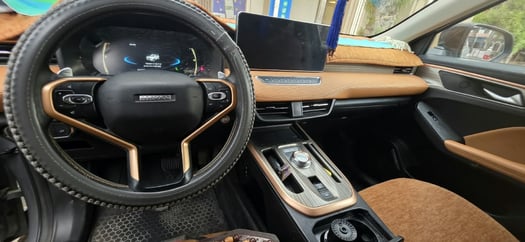 Haval Jolion, automatique, toutes options, excellent état
