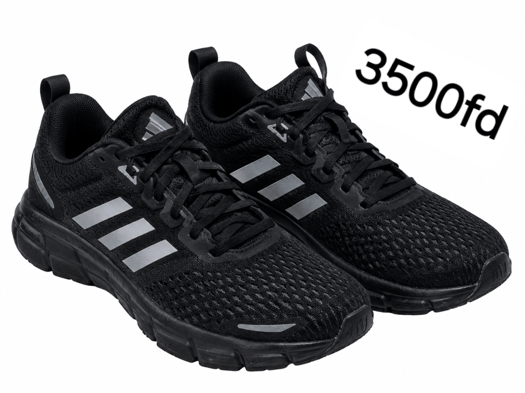 Chaussures neuves portées une seule fois