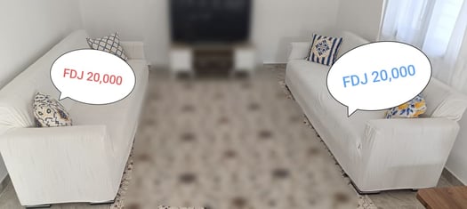 Salon avec deux grands canapés blancs et coussins décoratifs