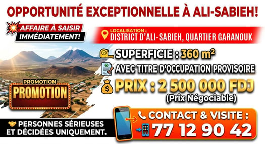 Terrain 360 m² avec titre provisoire à Ali-Sabieh Garanouk