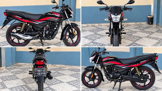 Moto neuve immatriculée 779 D 115
