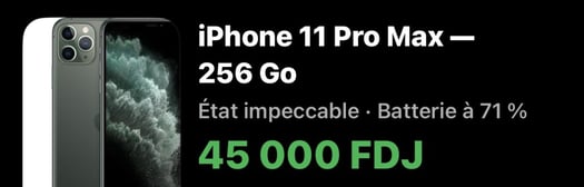iPhone 11 Pro Max 256 Go Noir Gris Mat, bon état