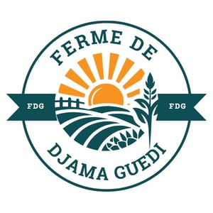Ferme de Djama Guedi