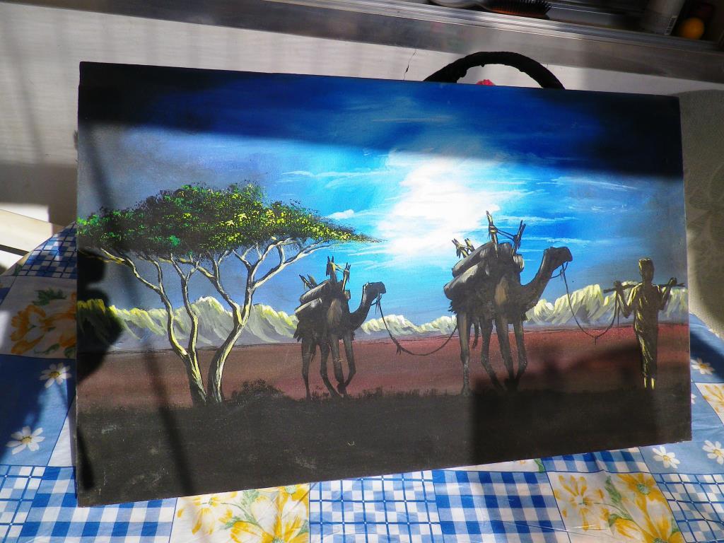 Tableau  dromadaire  dans la nuit  Djibouti  Tableau  dromadaire  dans la nuit  Djibouti