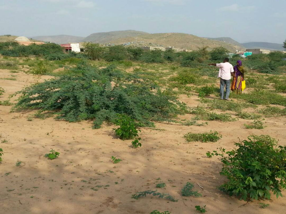 Parcelle en DIRE DAWA