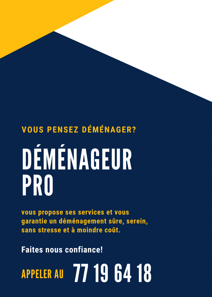 Déménageur PRO