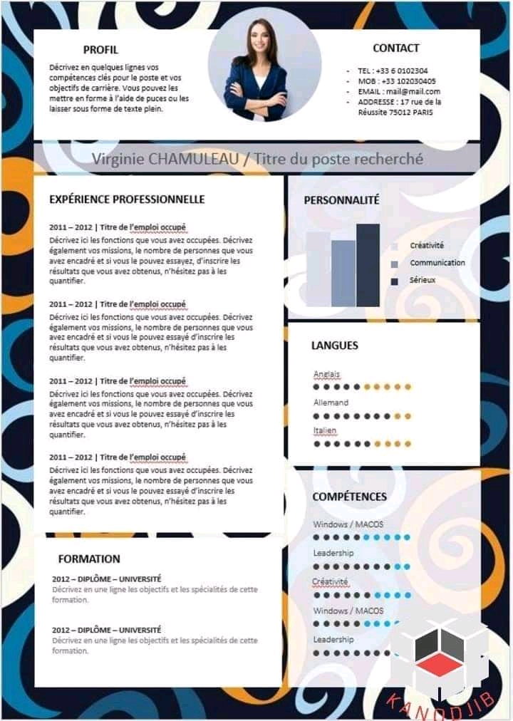 Kit d'emploi à Djibouti