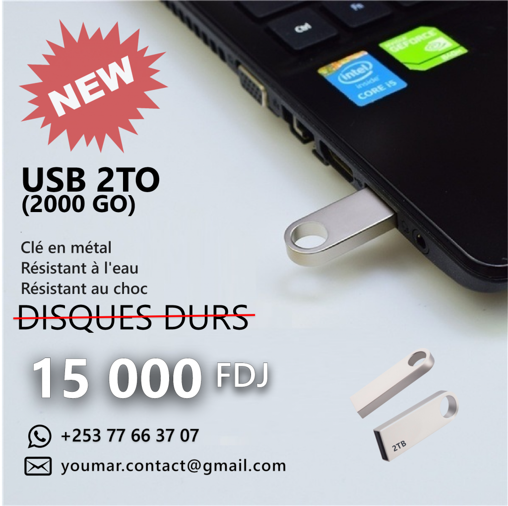 2000 Giga] Clés USB 2 Téra en métal à Djibouti