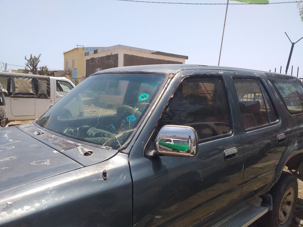 Voitur cerf d\'occasion