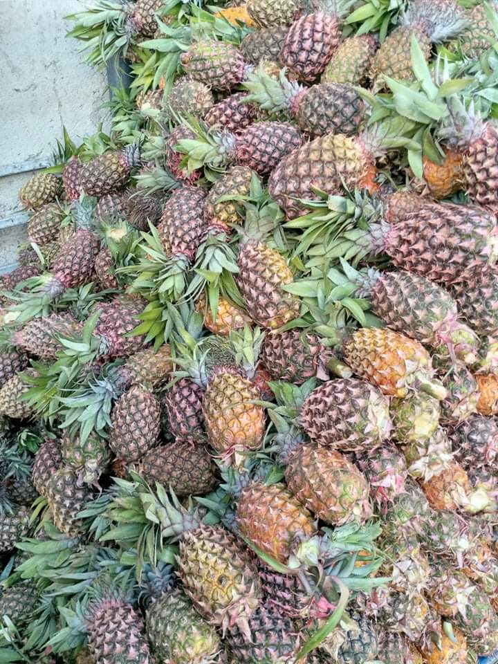 Import the vegetable