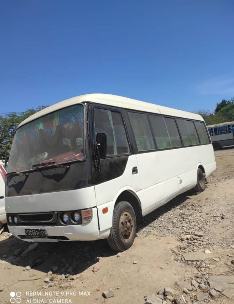 Bus Mitsubishi Rosa