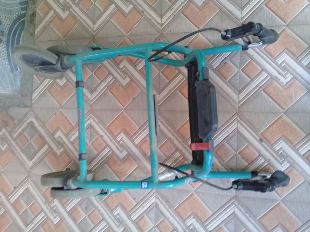 Chariot pour les personnes agées