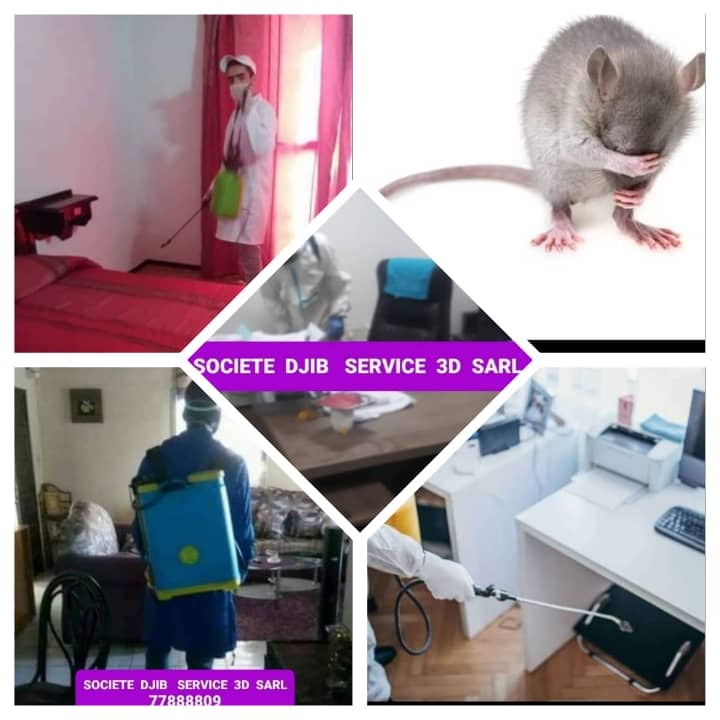 SOCIETE DJIB SERVICE 3D SARL