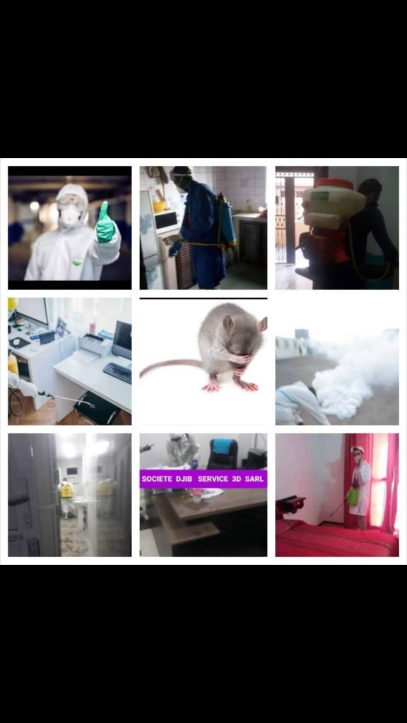 SOCIETE DJIB SERVICE 3D SARL