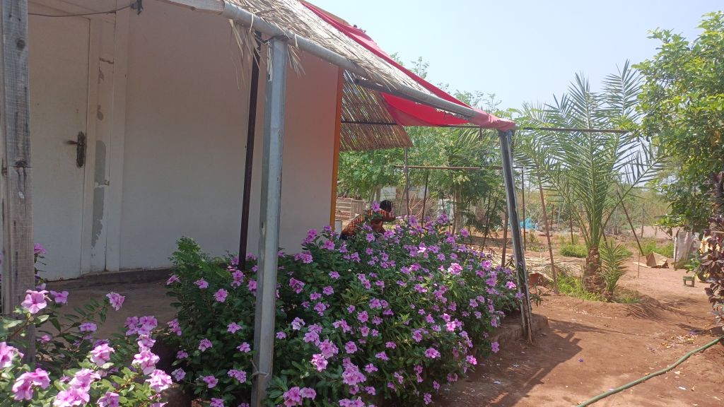 Jardin 1500 m2 a Damerjog