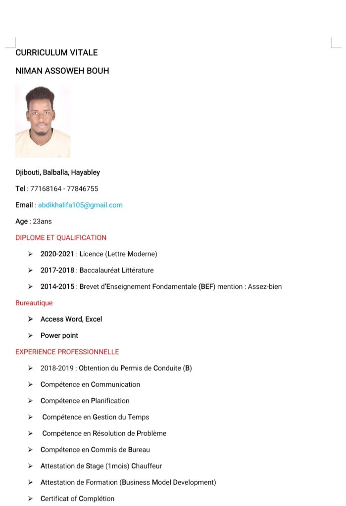 Chauffeur a la recherche d\'un emploi