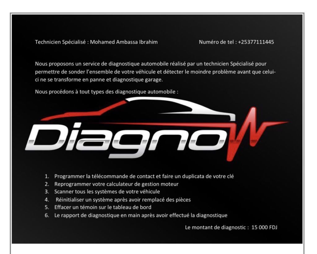 Diagnostic automobile