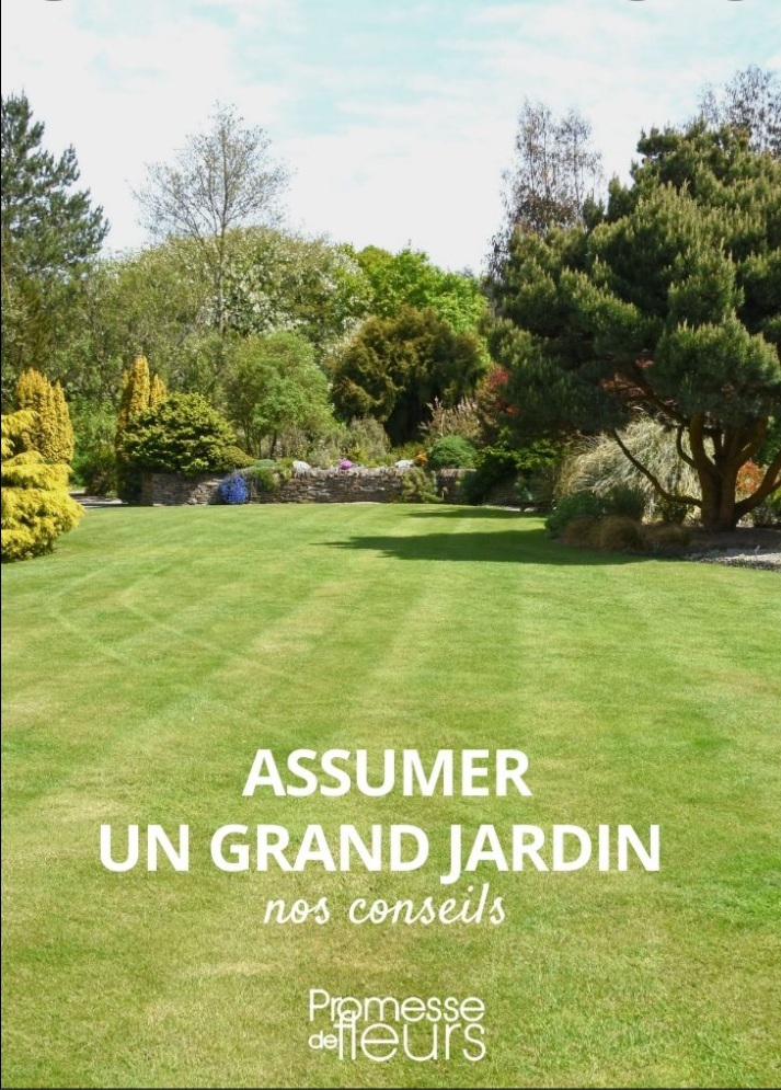 Terrain situé à Douda un emplacement stratégique comme voisin personnalité importante de la république. Bienvenue toute mondes