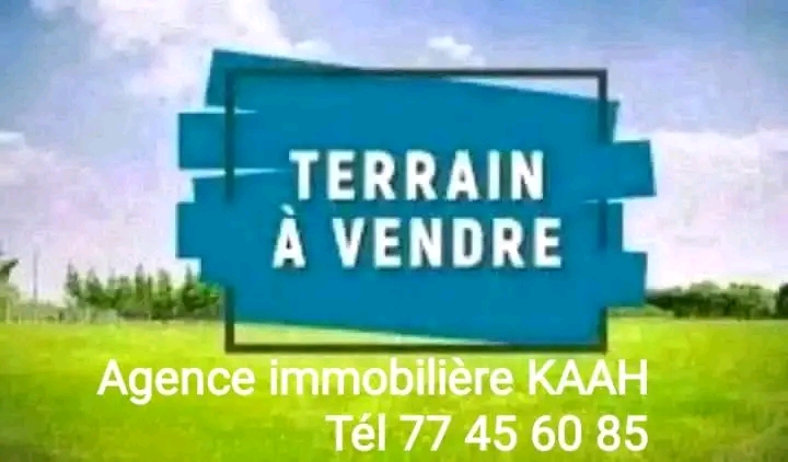 Terrain de 3000 m² à la Zone Industrielle avec deux Hangars