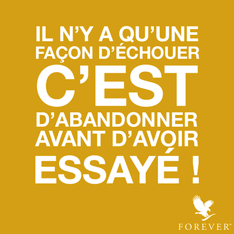 business et entreprenariat