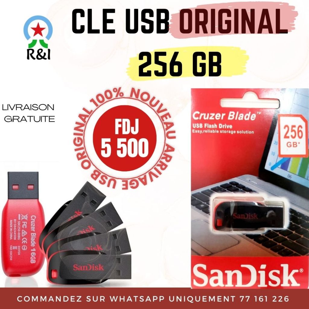 Clé USB Capacité 256 GB.