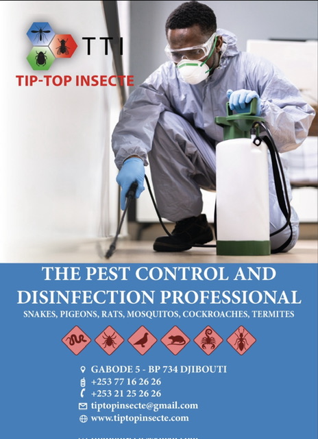 Tip Top Insecte Pest control in Djibouti since 2016