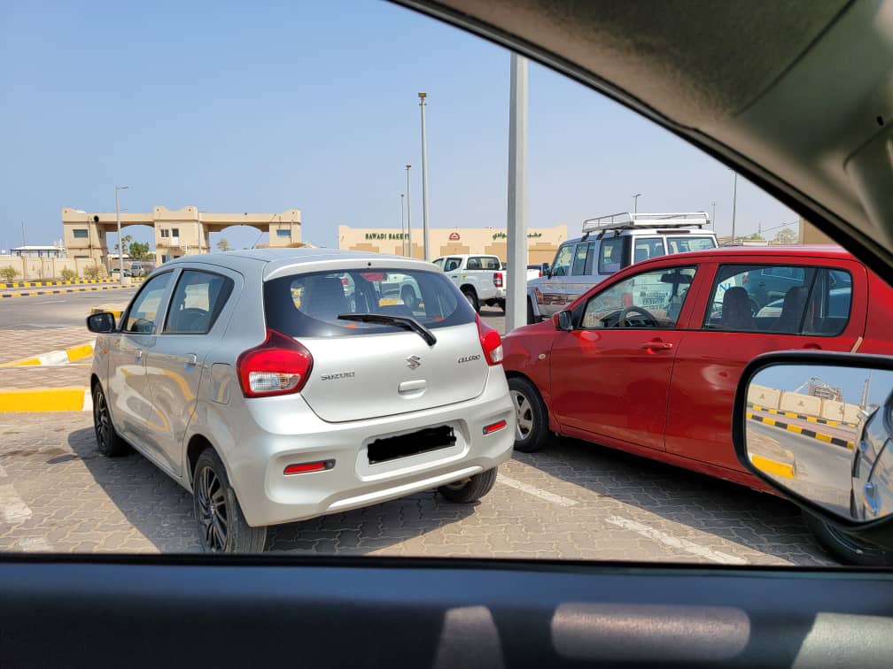 Celeriac 2022 a vendre