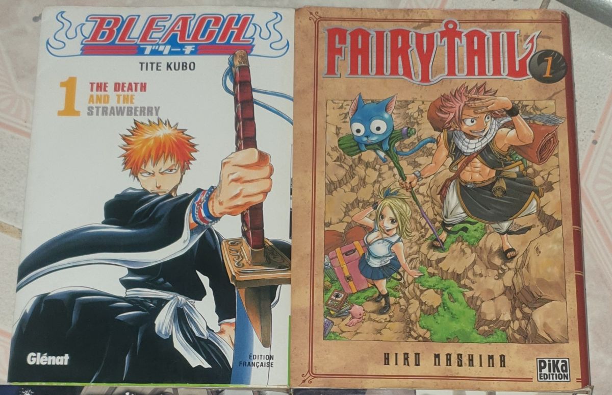 Les tomes 1 de fairy tail et Bleach à Djibouti