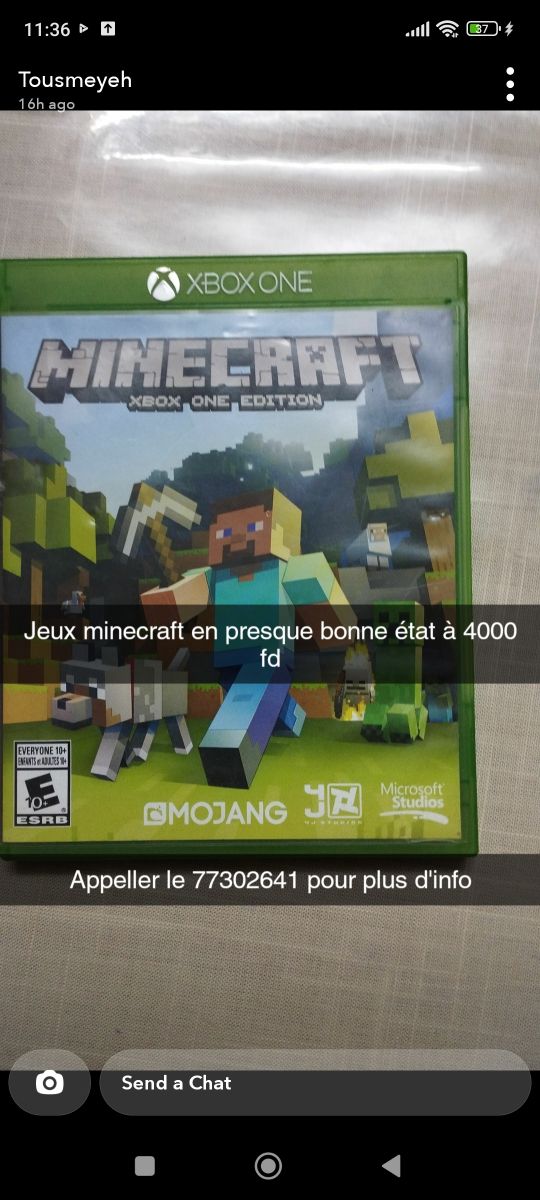 Jeu Minecraft, monde ouvert culte