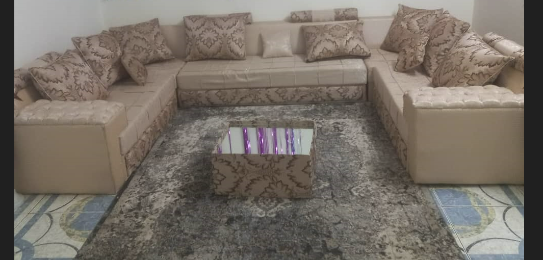 Ensemble Salon Moderne avec Tapis et Pots de Fleurs
