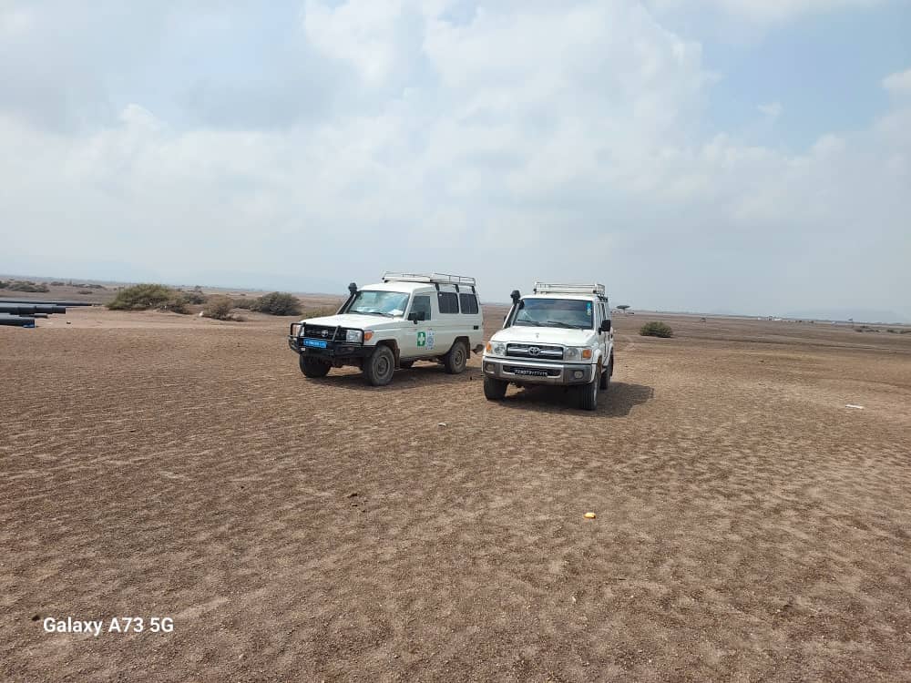 Location: Toyota Hard Top