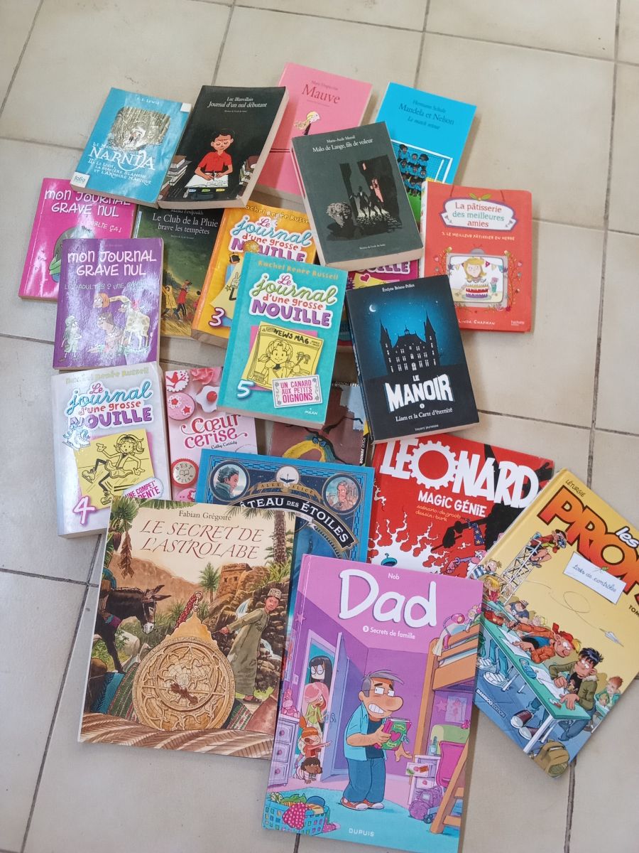 Lot de 20 livres pour enfants (romans et BD) - À saisir