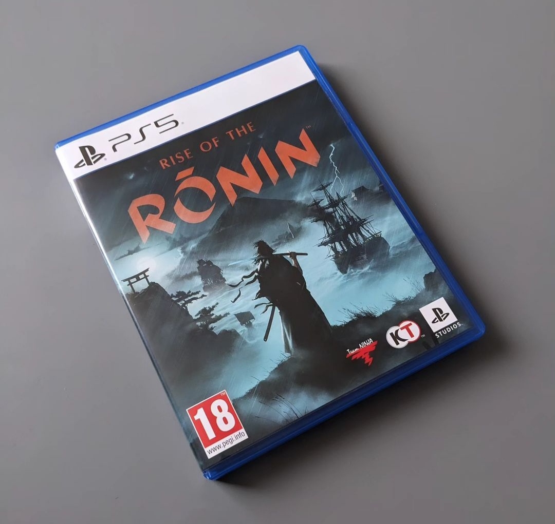 Guerrier Ronin au Japon en 1863 : un choix crucial pour le destin du pays