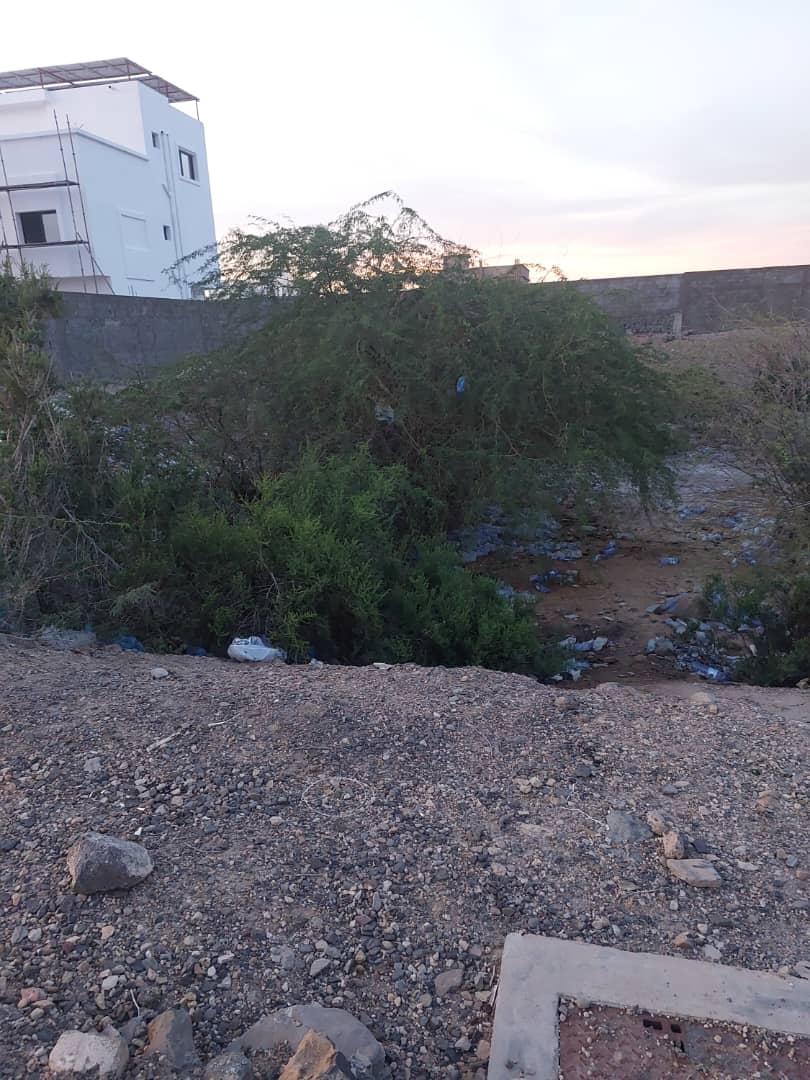 Terrain 801m2 à Haramous Sud, emplacement idéal sur voie principale