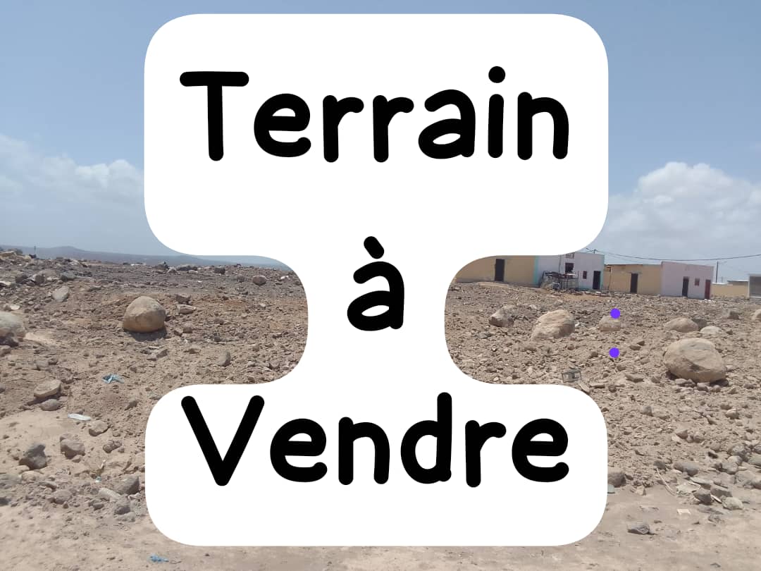 Terrain 160m2 à côté de l\'école Bilingue à Barwaqo 2