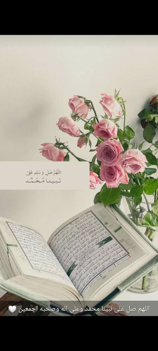 Prof arabe et coranique