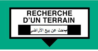 Terrain 5000m2 à Balbala, idéal pour garage poids lourds