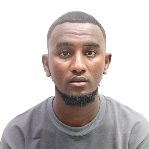 Maintenance de véhicules - Stage ou emploi - Baccalauréat Professionnel