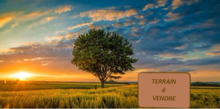 Terrain a vendre a HARAMOUS 300m2