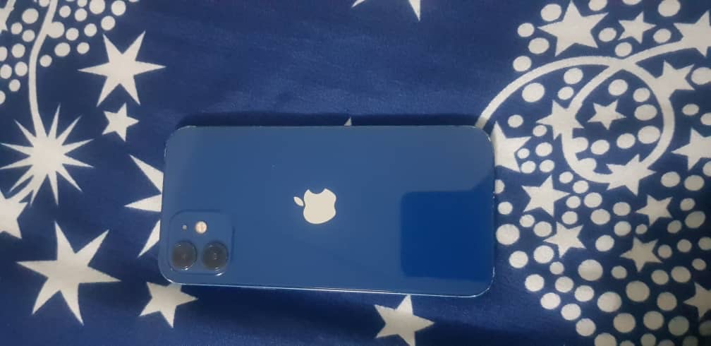 iPhone 12 Bleu 128Go, Batterie 90%, 6 mois d\'utilisation